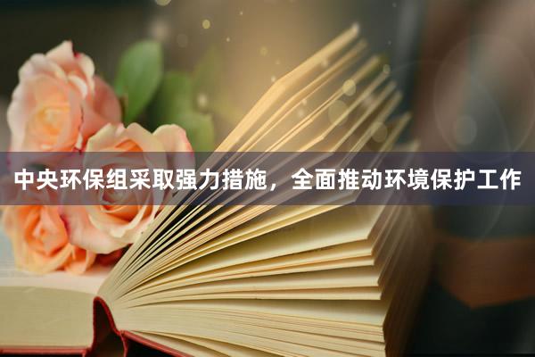 中央环保组采取强力措施，全面推动环境保护工作